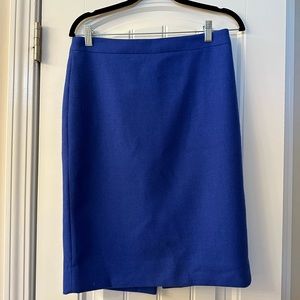 J Crew Skirt